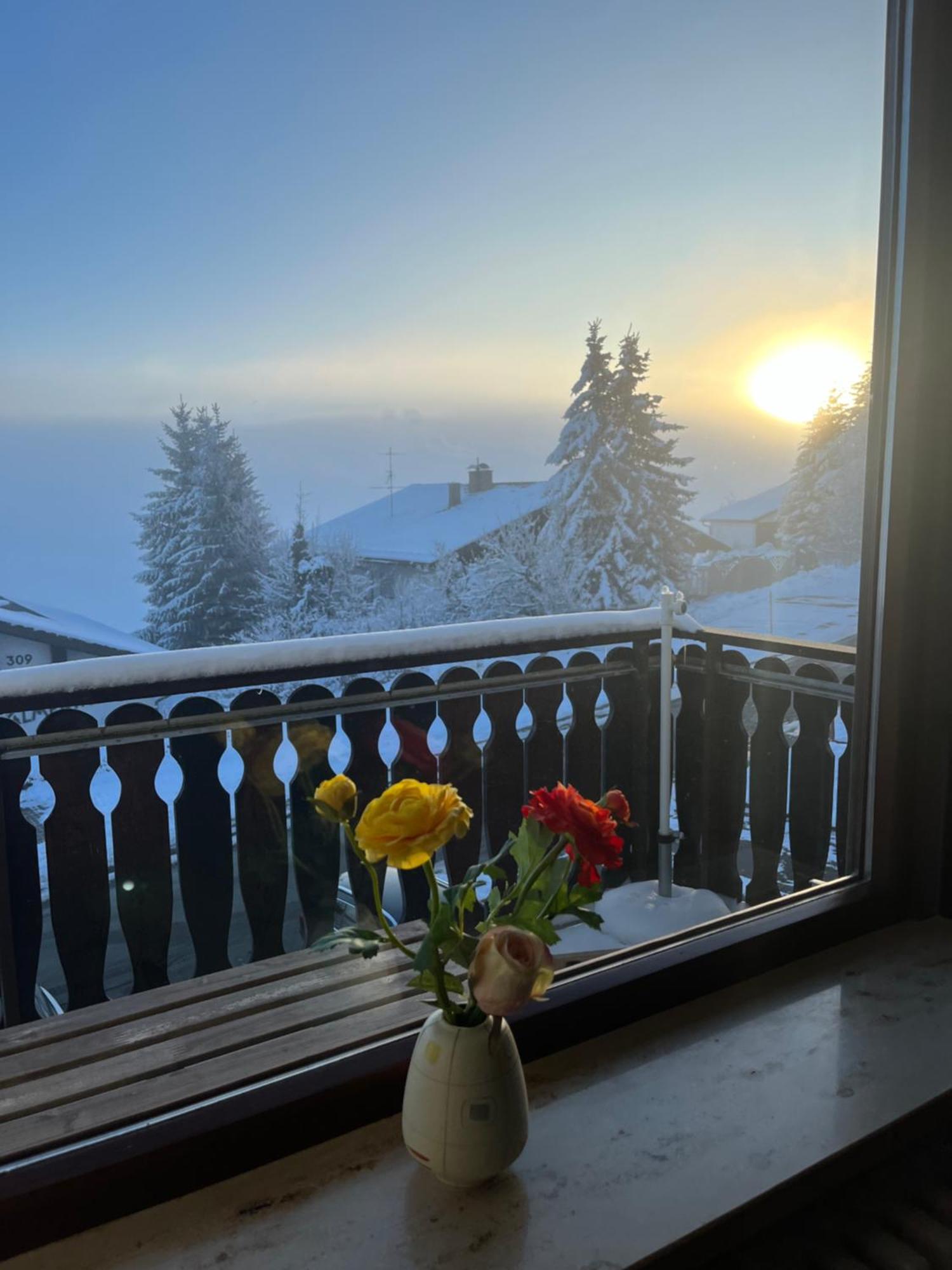 Helle Wohnung Mit Grossem Balkon Oberreute Extérieur photo